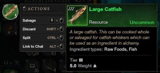 catfish
